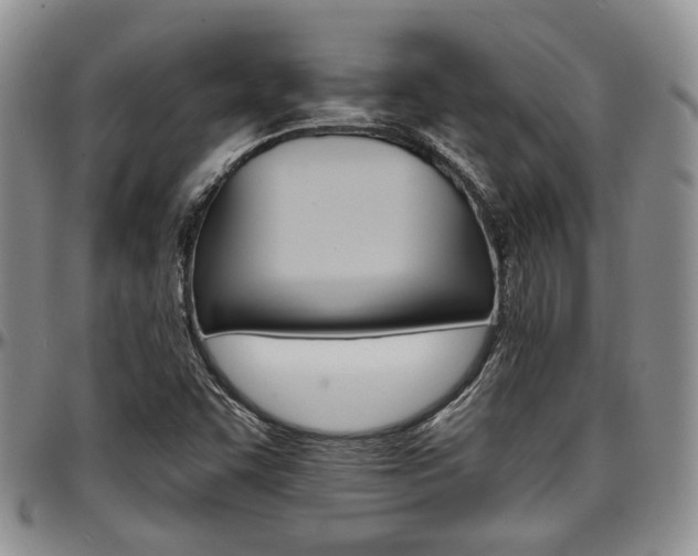 X0000097671455200802291449
