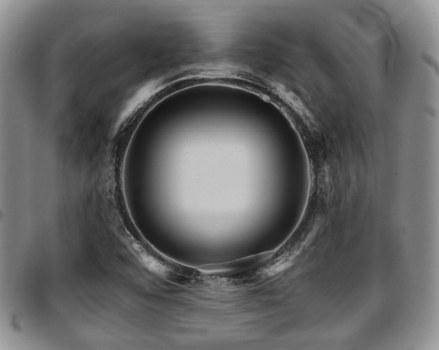 X0000097671456200802291449