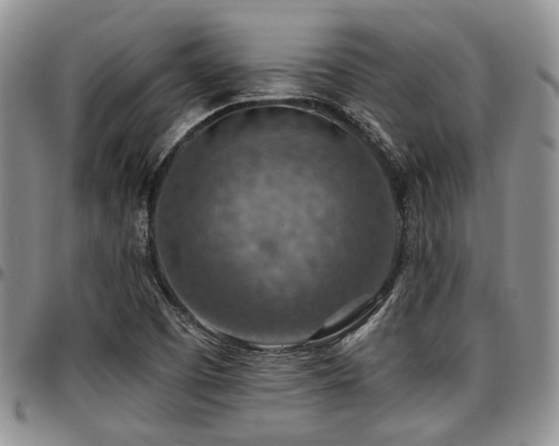 X0000097671457200802291449