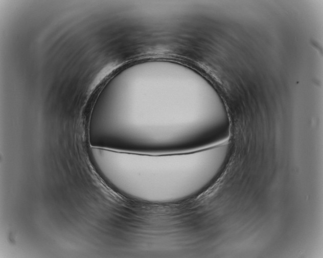 X0000097671458200802291449