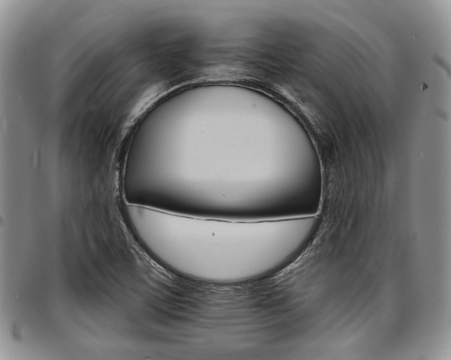 X0000097671459200802291449