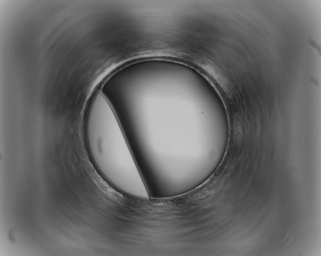 X0000097671460200802291449