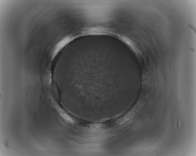 X0000097671461200802291449