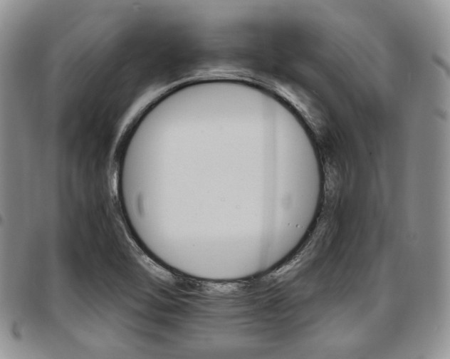 X0000097671462200802291449