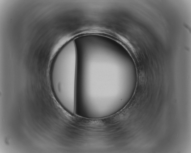 X0000097671464200802291449