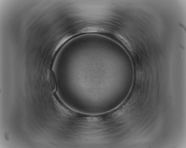 X0000097671465200802291449