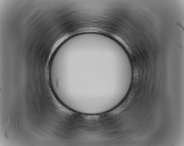 X0000097671466200802291449