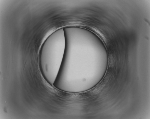 X0000097671467200802291449