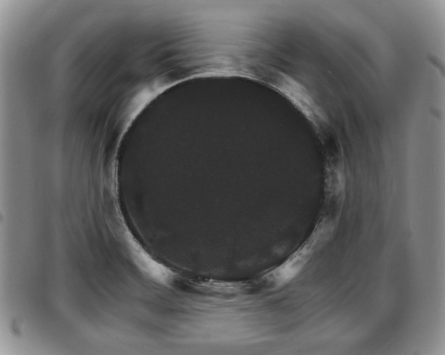 X0000097671468200802291449
