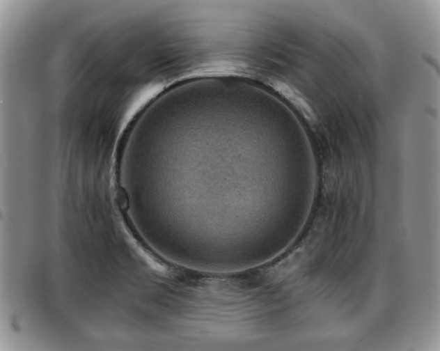 X0000097671469200802291448