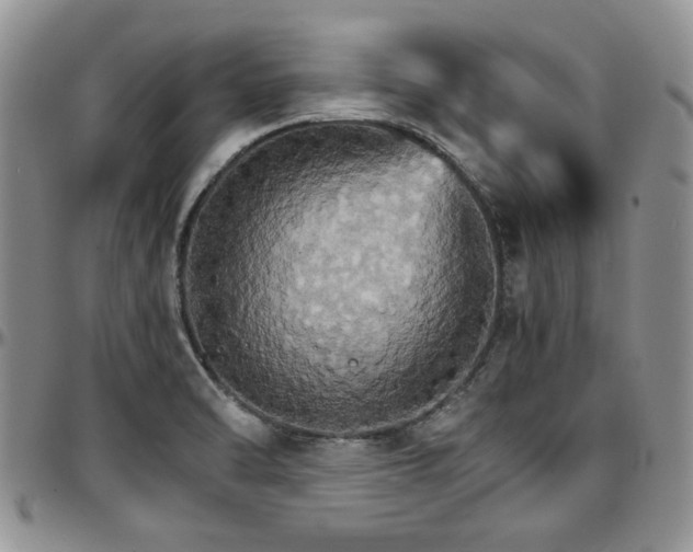 X0000097671470200802291448