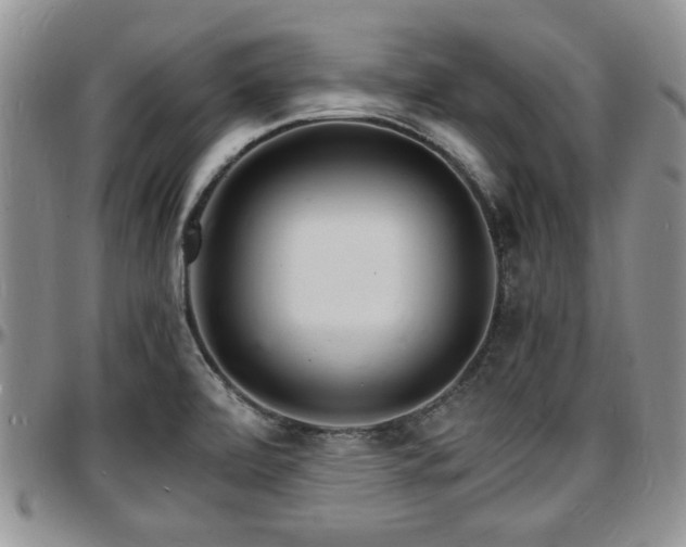 X0000097671472200802291448
