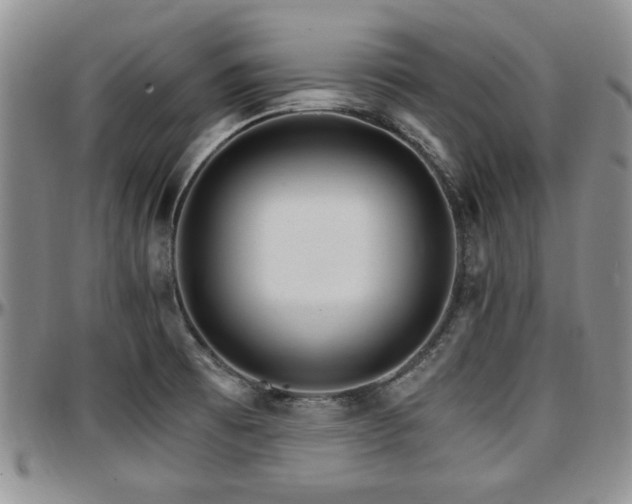 X0000097671473200802291448