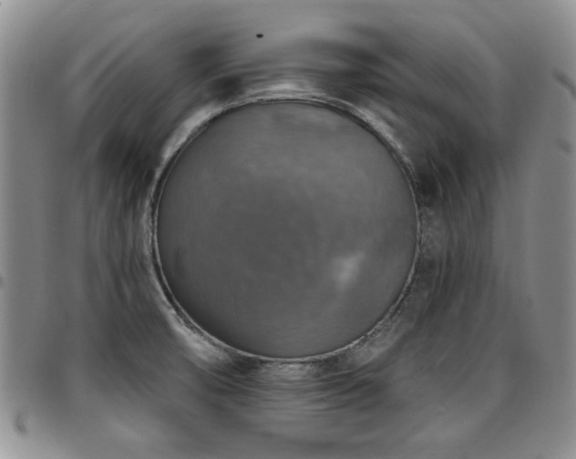 X0000097671474200802291448