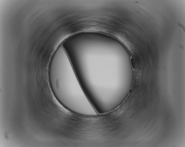 X0000097671476200802291448
