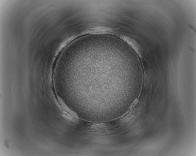X0000097671477200802291448