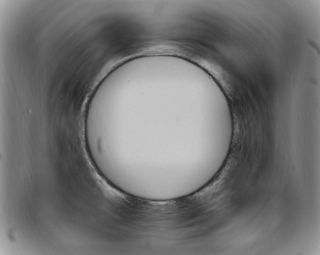 X0000097671478200802291448