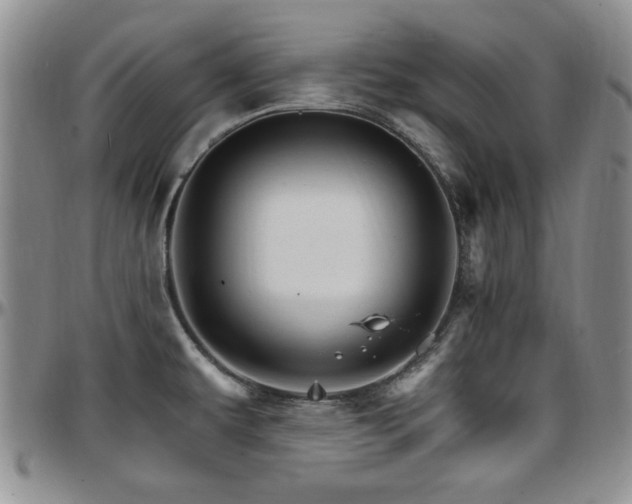 X0000097671479200802291448