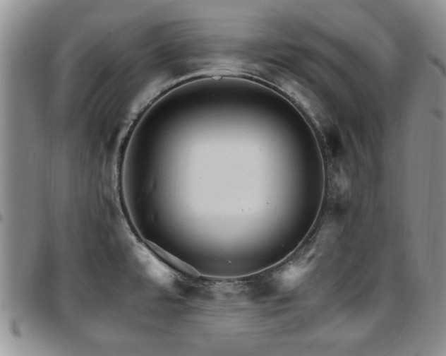 X0000097671480200802291448