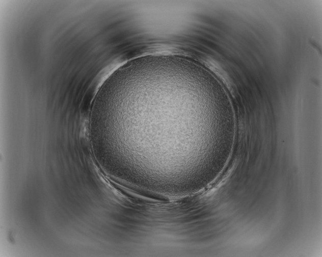 X0000097671481200802291448