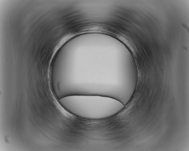 X0000097671482200802291448
