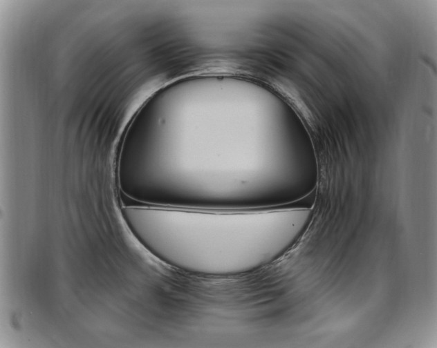 X0000097671483200802291448