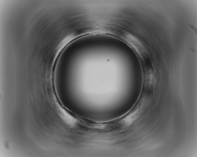 X0000097671484200802291448