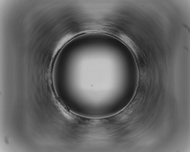 X0000097671485200802291448