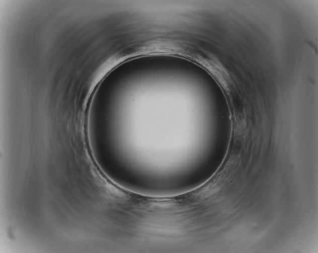 X0000097671486200802291448