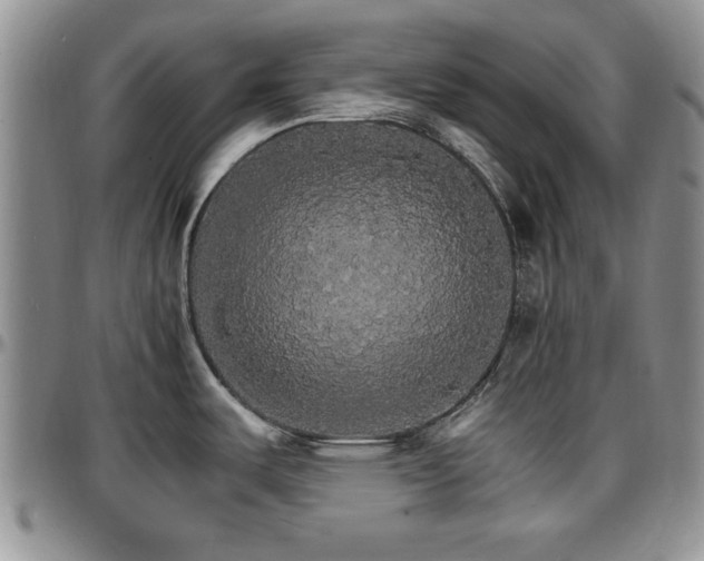 X0000097671487200802291448