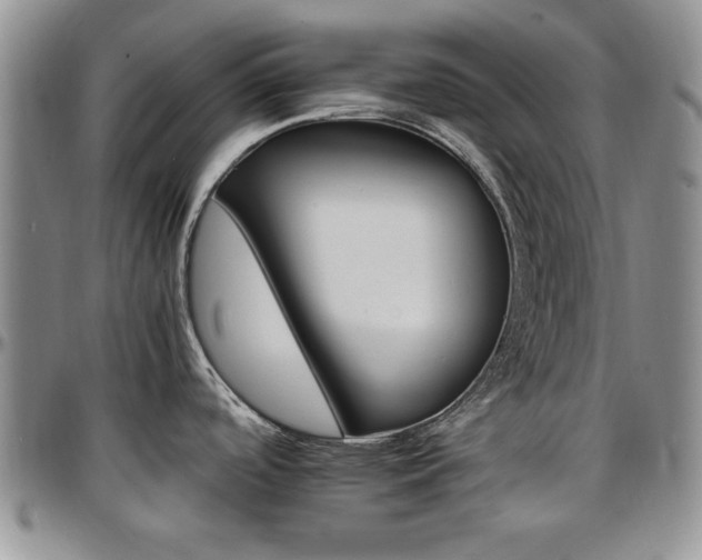 X0000097671488200802291448