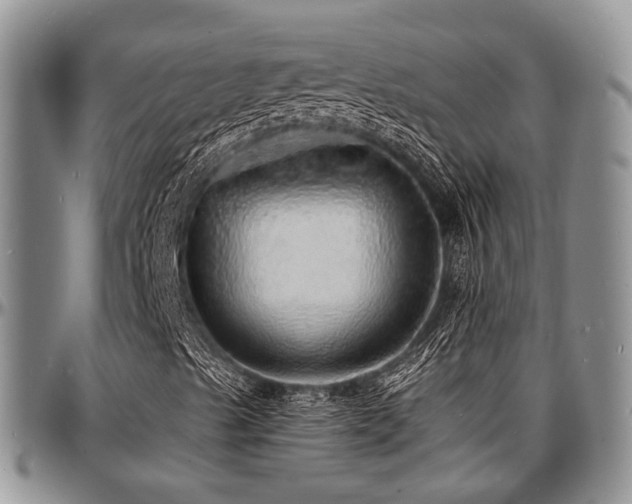 X0000097671489200802291448