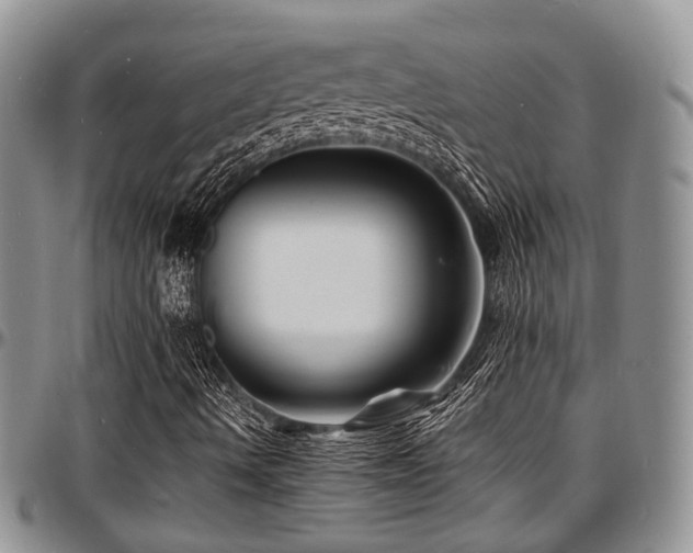 X0000097671490200802291448