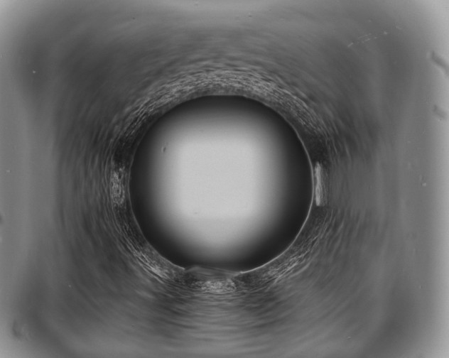 X0000097671491200802291448