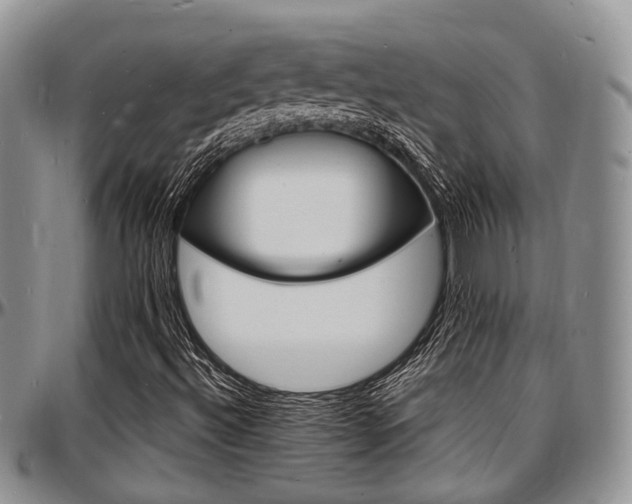 X0000097671492200802291448