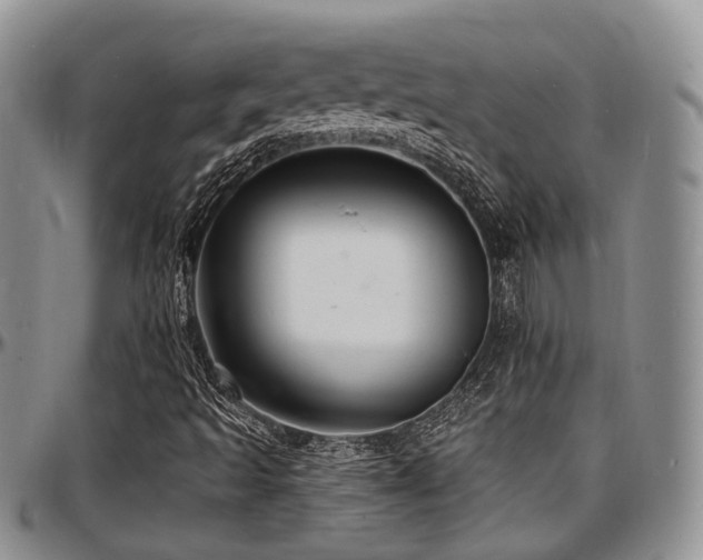 X0000097671493200802291448