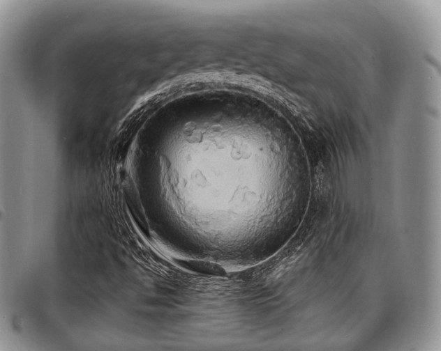 X0000097671494200802291448