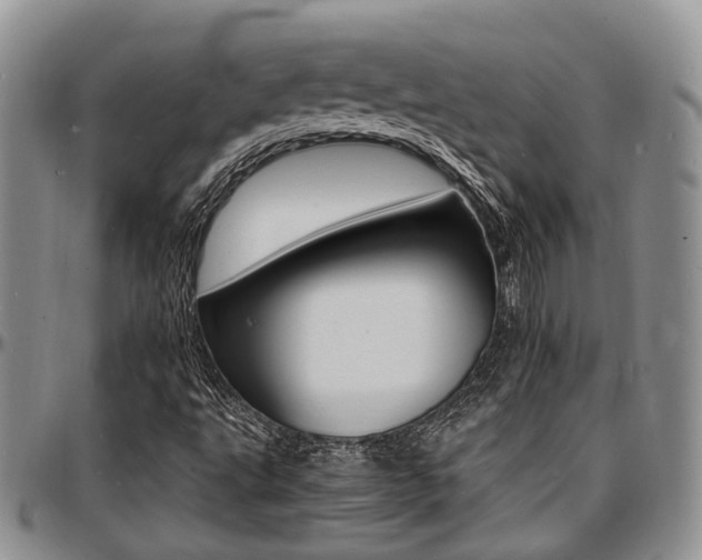 X0000097671495200802291448