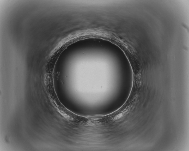 X0000097671496200802291448