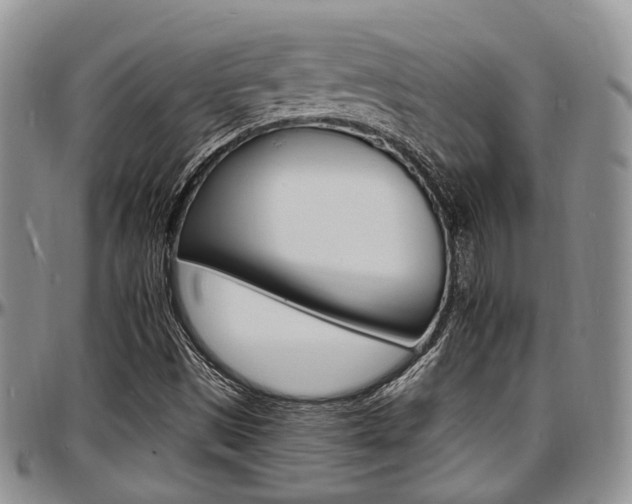 X0000097671497200802291448