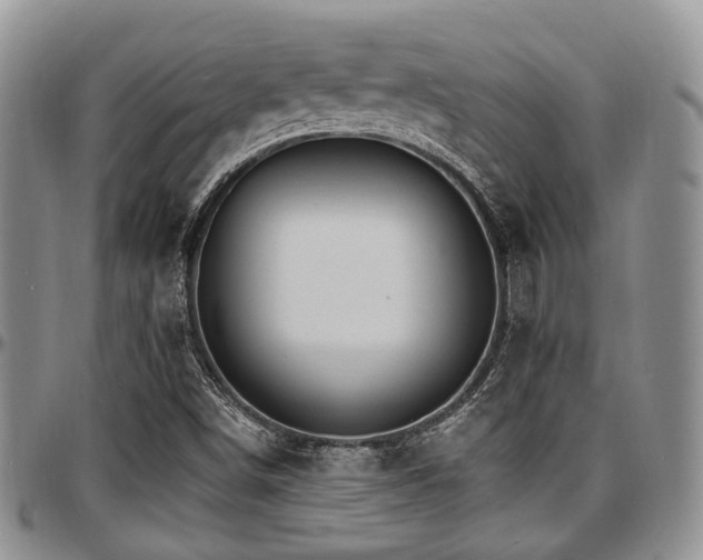X0000097671498200802291448