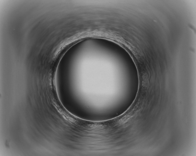 X0000097671499200802291448
