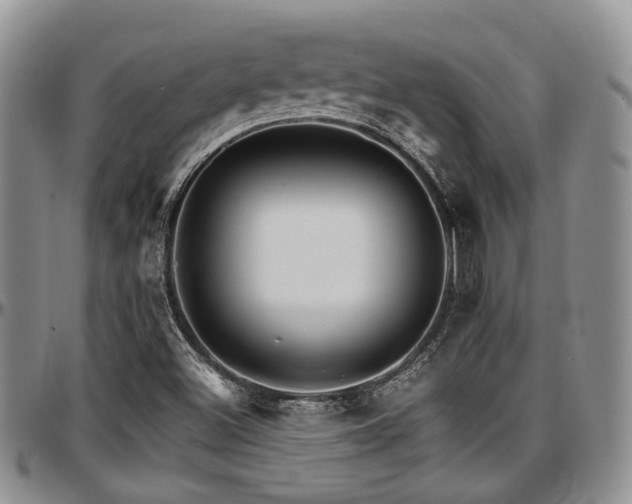 X0000097671500200802291448