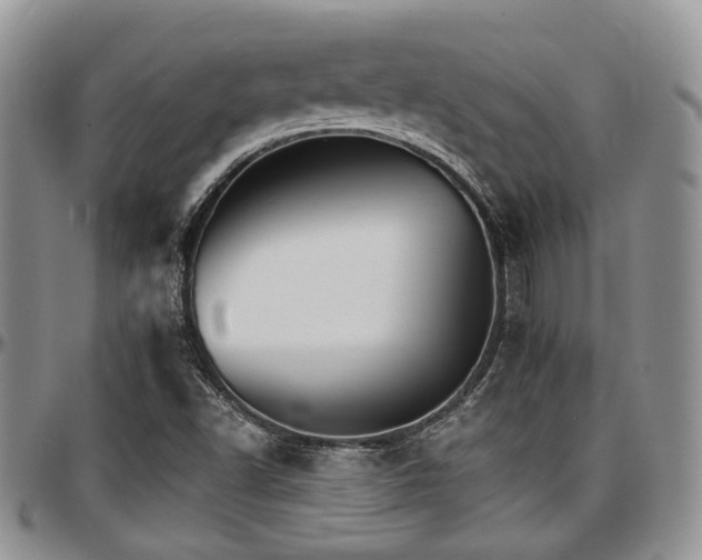 X0000097671502200802291448