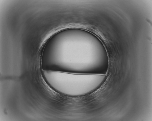 X0000097671504200802291448