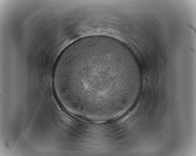 X0000097671505200802291448