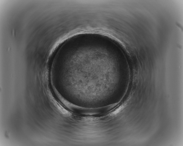X0000097671506200802291448