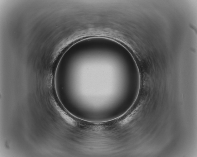 X0000097671507200802291448