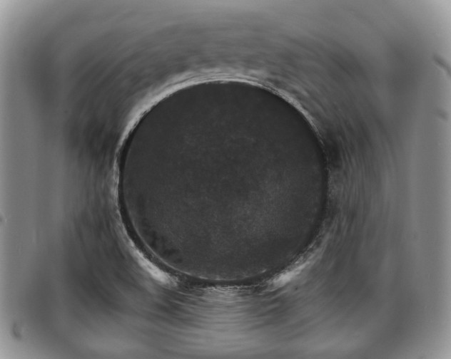 X0000097671508200802291448