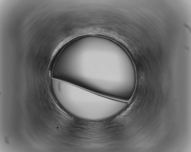 X0000097671509200802291448